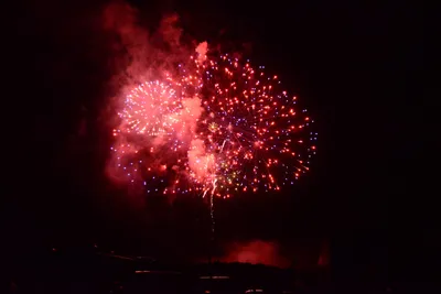 DSC_3431 (Large).JPG